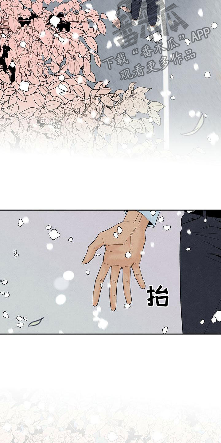 泰剧黑帮少爷爱上丹尼尔漫画,第139章：下雪1图