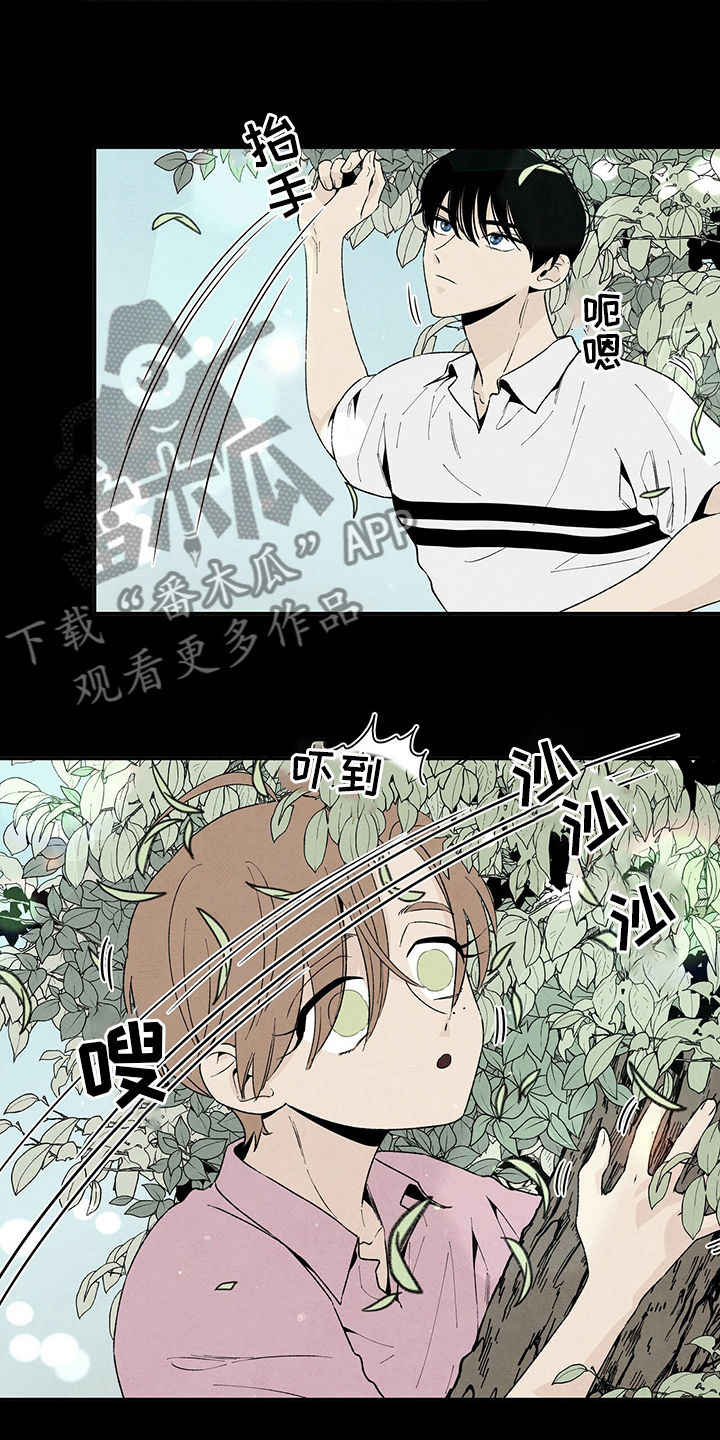 黑帮老大爱上我丹尼尔吃醋漫画,第102章：爸爸2图