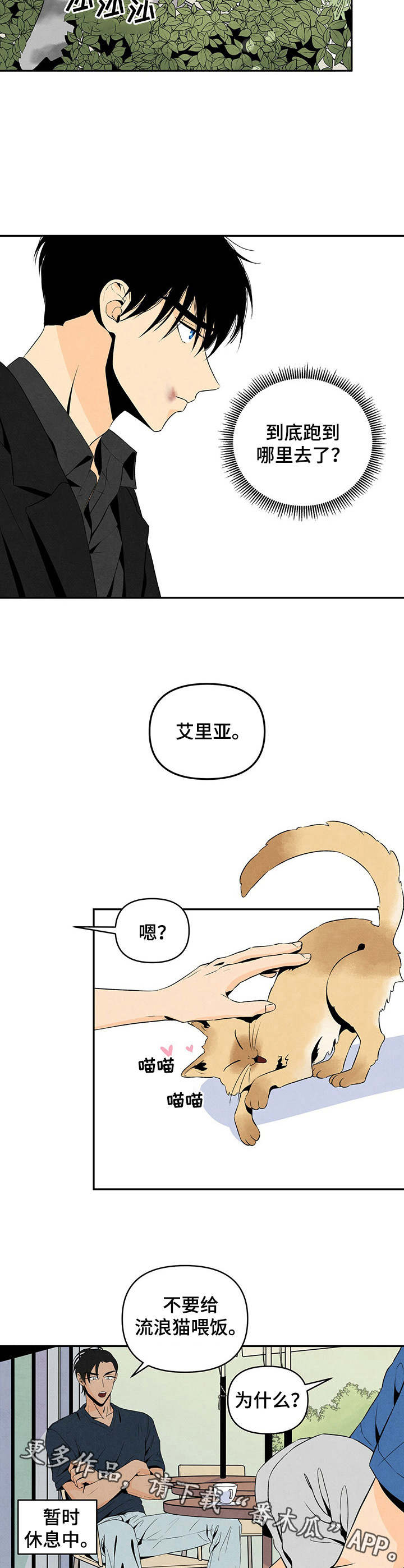 黑帮少爷爱上我丹尼尔漫画,第11章：野猫1图