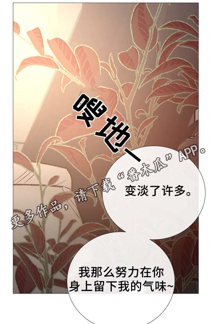 冰凉的居所漫画,第87章：简直糟糕透了2图