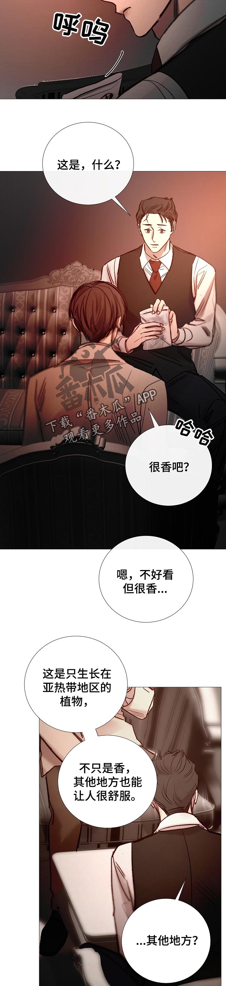 冰凉的居所免费阅读漫画,第153章：确定关系2图