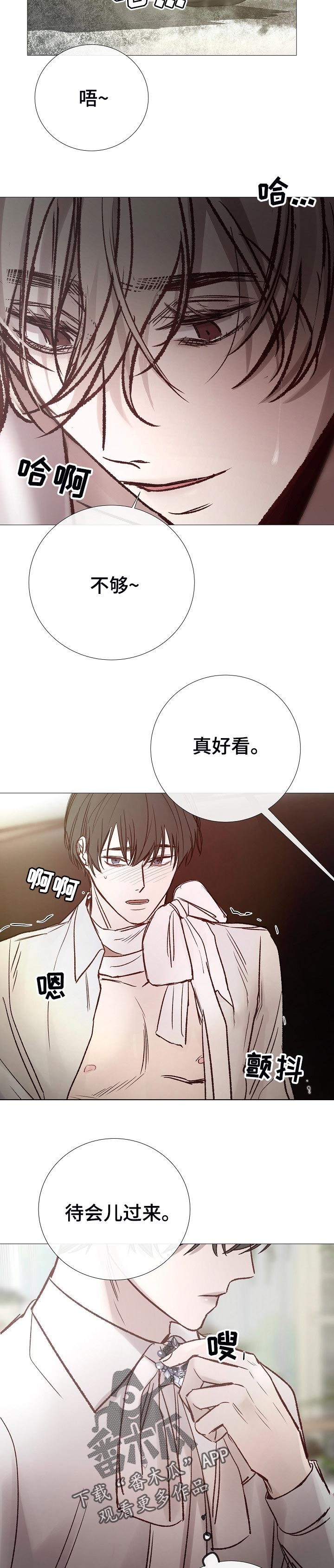 冰冷的新房漫画,第165章：有话说2图