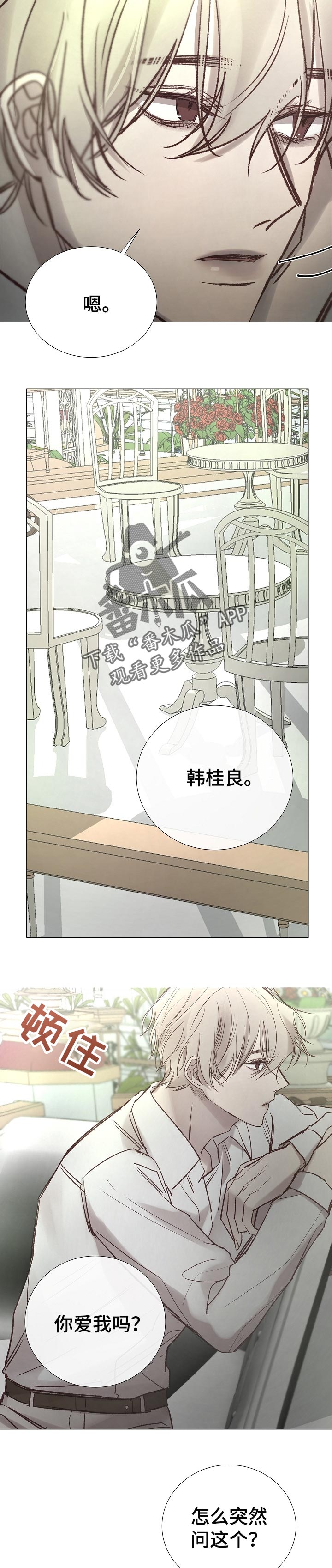 冰凉的热带鱼漫画,第161章：好像喜欢你1图