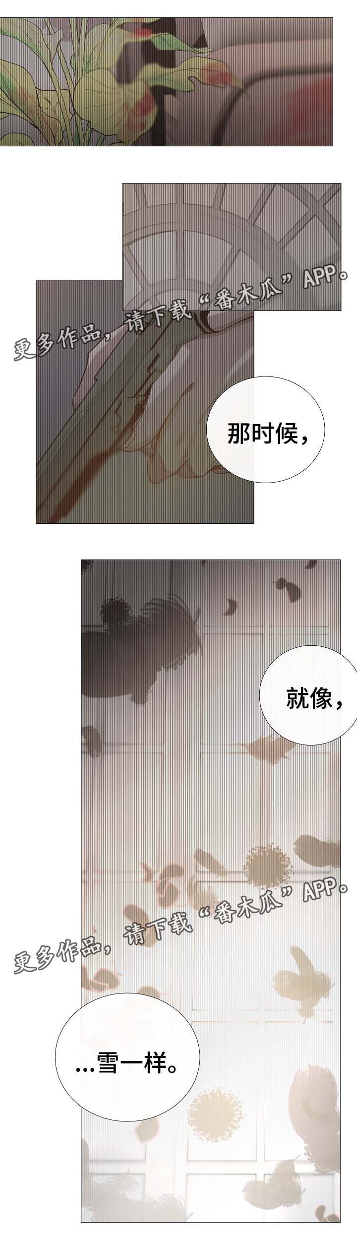 冰凉的心抖音号漫画,第66章：梦2图