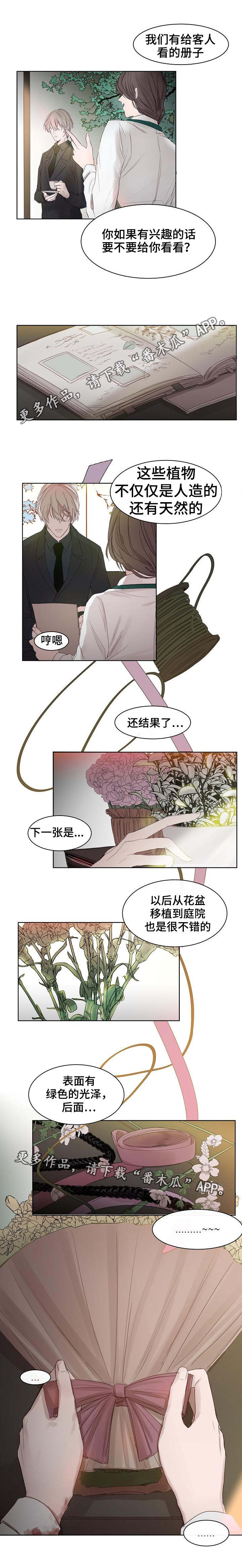 冰凉的小手背景简介漫画,第7章：出乎意料2图