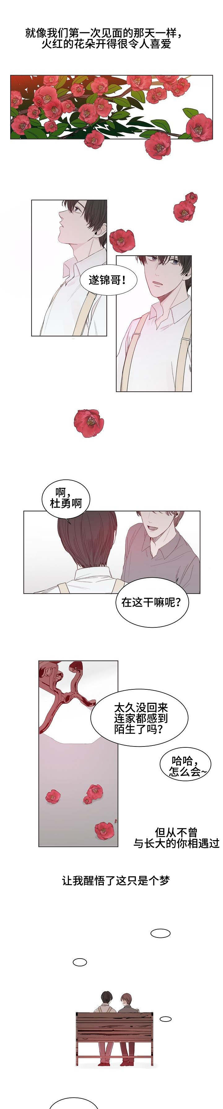 冰凉的小手出自哪个歌剧漫画,第1章：往事1图