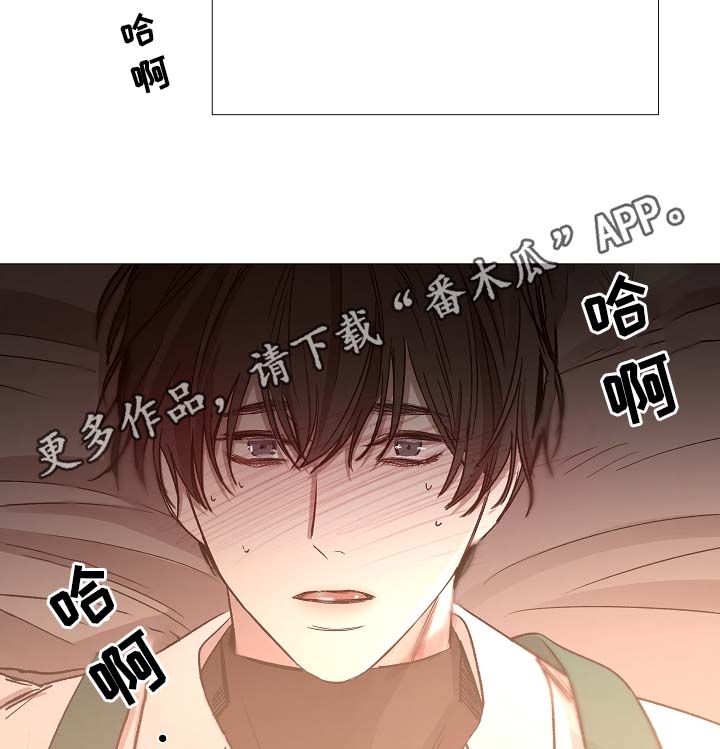冰凉的居所漫画,第82章：真的没事吗1图