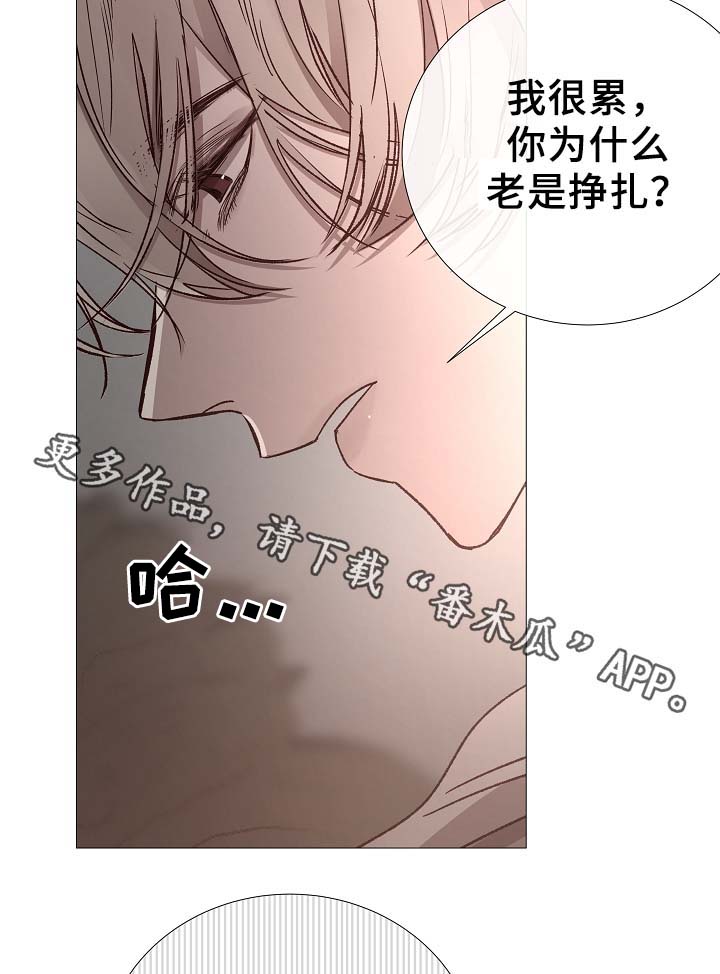 冰冷的新房漫画,第81章：气氛正好1图