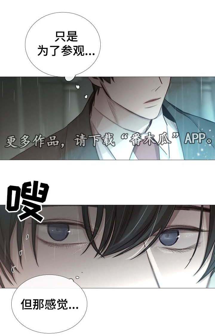 冰凉的心抖音号漫画,第62章：还没到那种程度1图