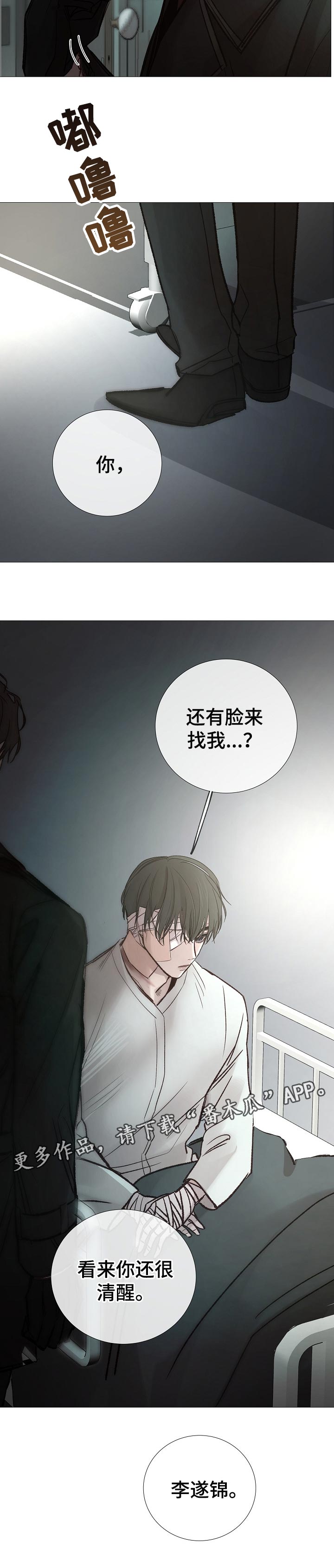 冰凉的居所漫画,第168章：清醒1图