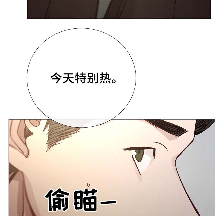 冰凉的居所漫画,第87章：简直糟糕透了2图