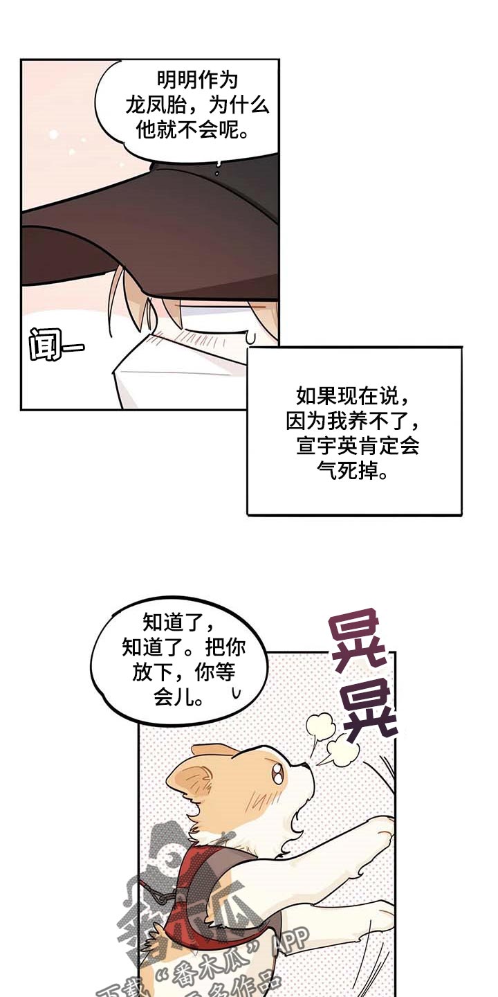 校园之星漫画,第44章：一起学习1图