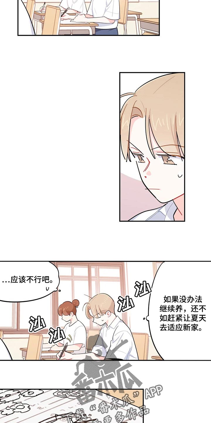 校园之星漫画,第54章：重型炸弹2图