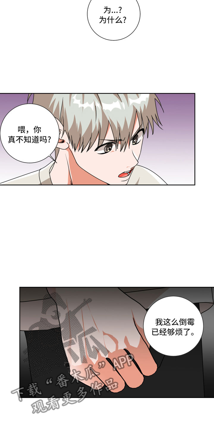 只接受完美结局漫画,第10章：和我一组2图