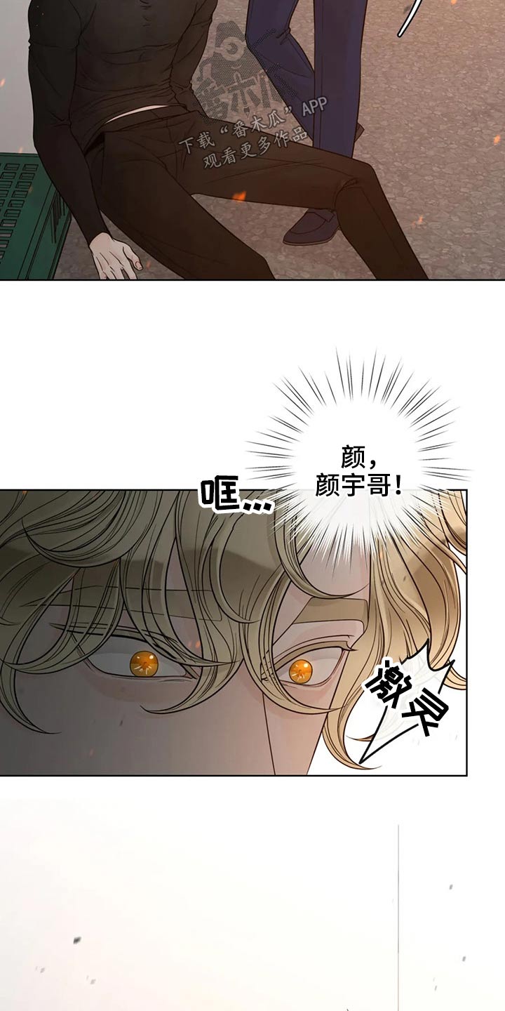 合约期内电话卡怎么注销漫画,第123章：【第二季】恳求2图