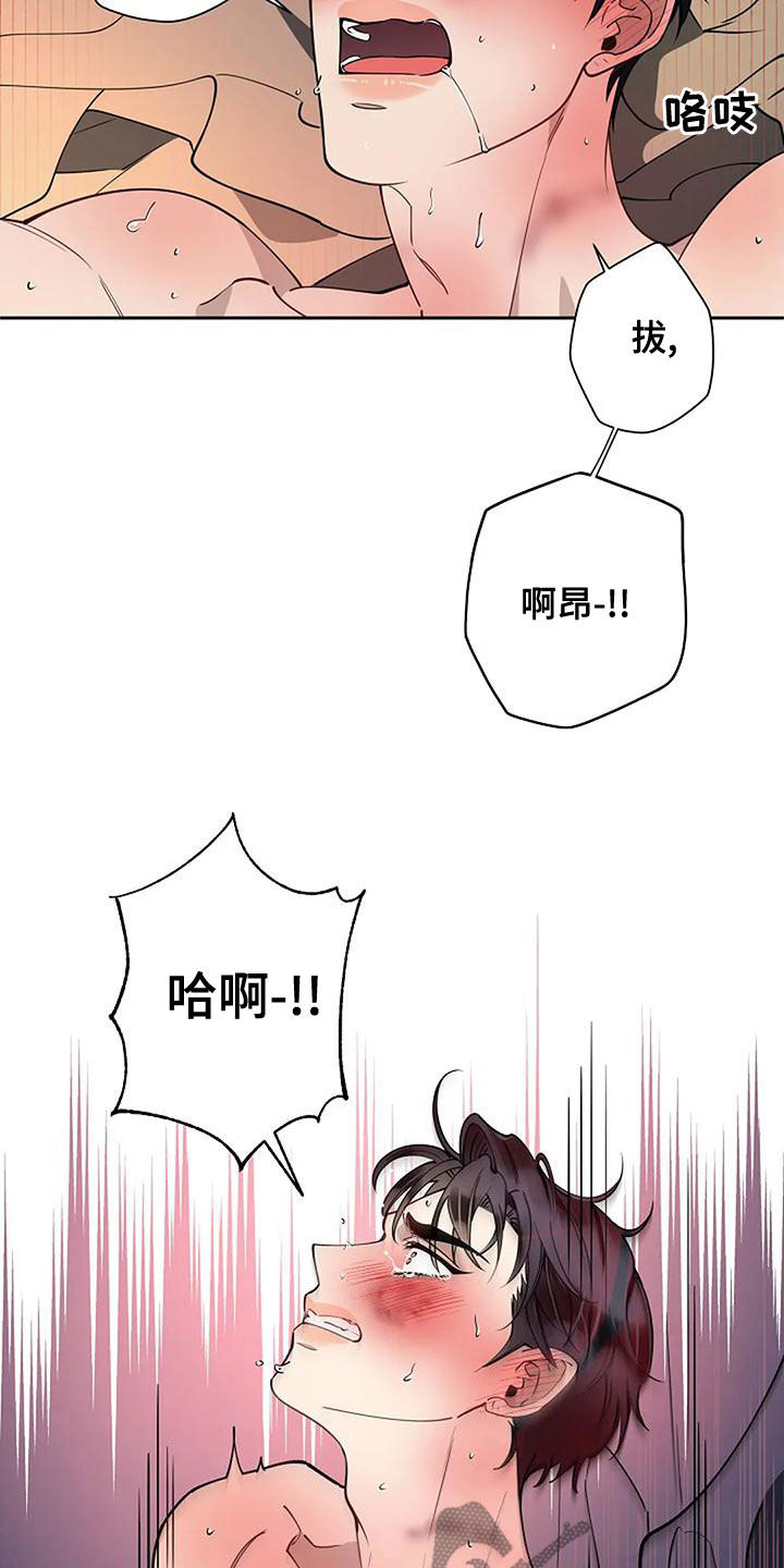 劣质插座漫画,第29章：香味1图