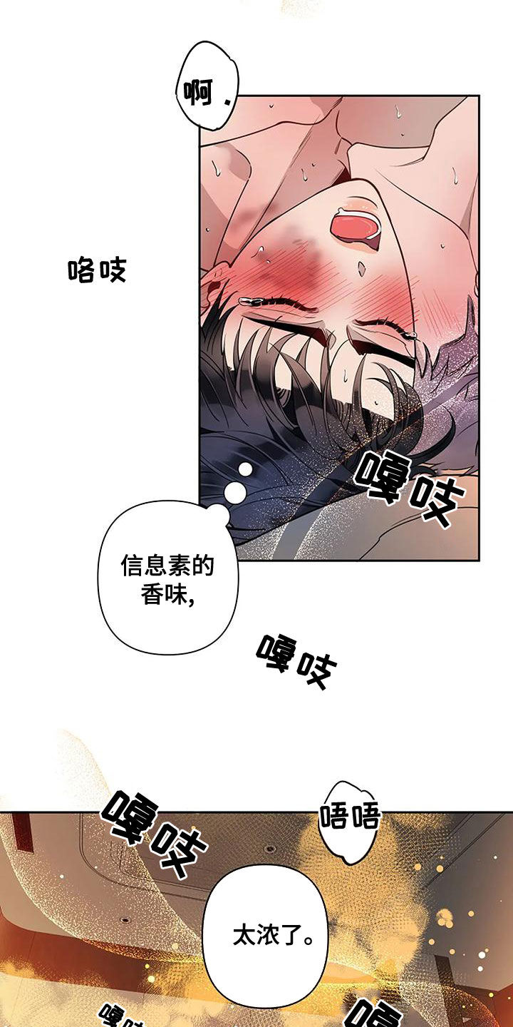 真假埃尔法漫画,第29章：香味1图