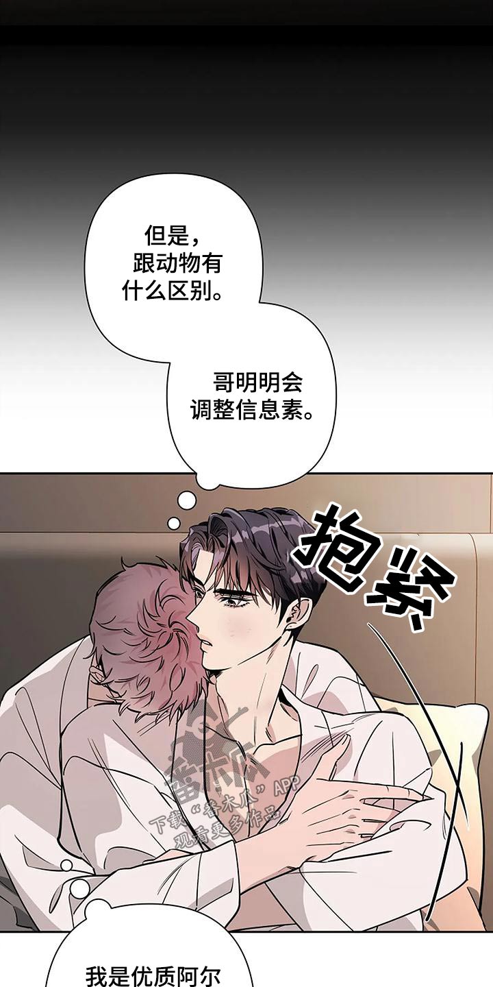 阿尔法高仿车漫画,第41章：如果相爱2图