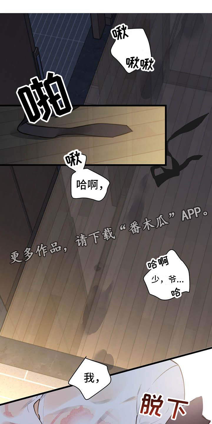 热情之风漫画,第24章：少爷x秘书:确认1图