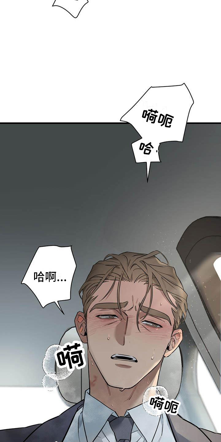 热情反义词漫画,第22章：少爷x秘书：神志不清1图
