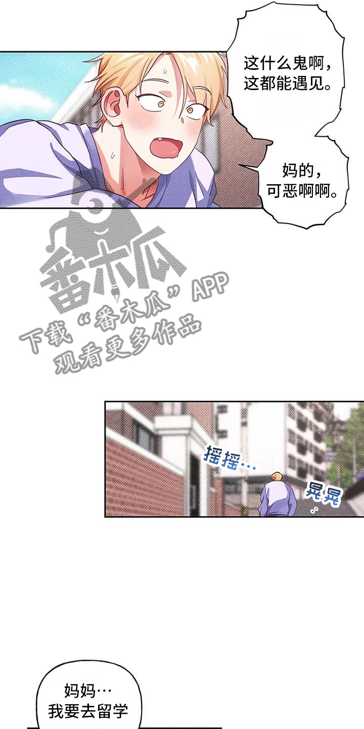 热情之光阿卡丽怎么获得漫画,第6章：爱情笔记：突然强吻2图