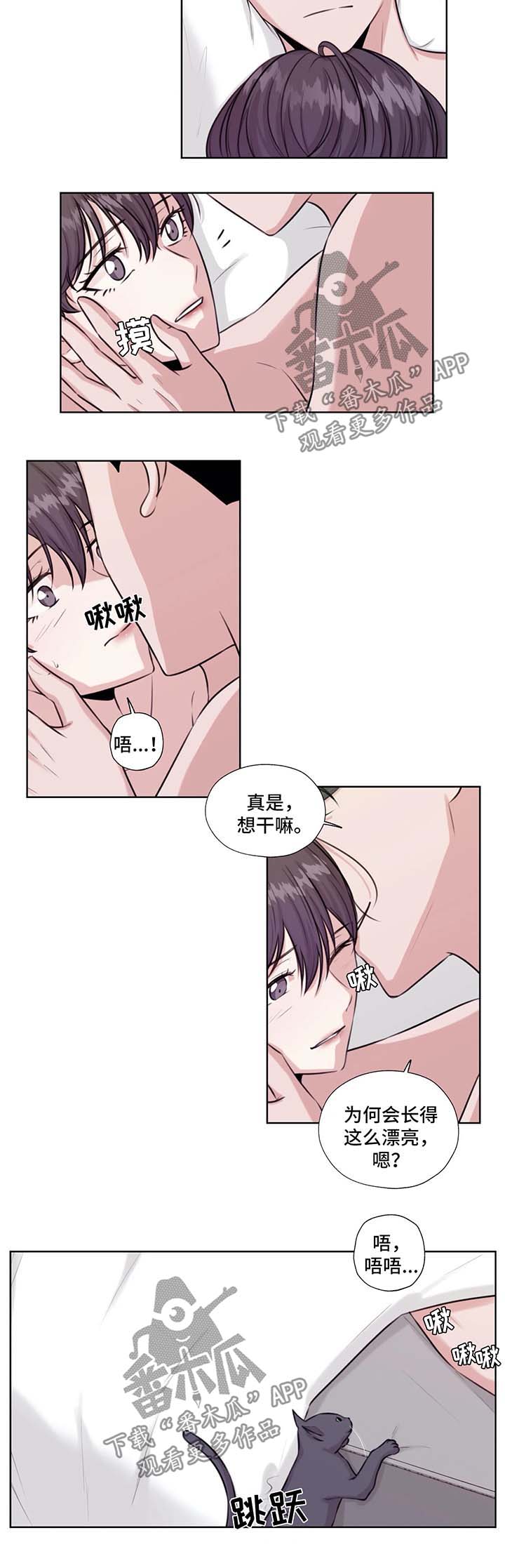 永远的囚笼漫画,第46章：在这生活吧1图