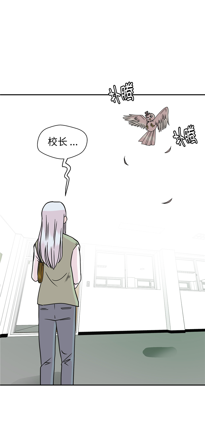 奇妙的动物主题课程漫画,第81章：会场袭击1图