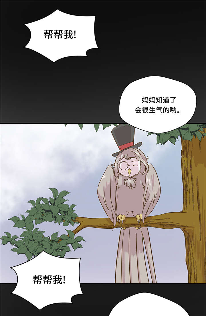 奇妙的动物主题课程漫画,第5章：救救她(下)1图