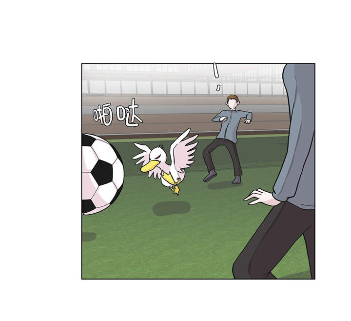 奇妙的动物高中漫画,第29章：偷拍狂1图