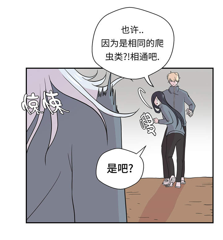 奇妙的动物主题课程漫画,第36章：是龙1图