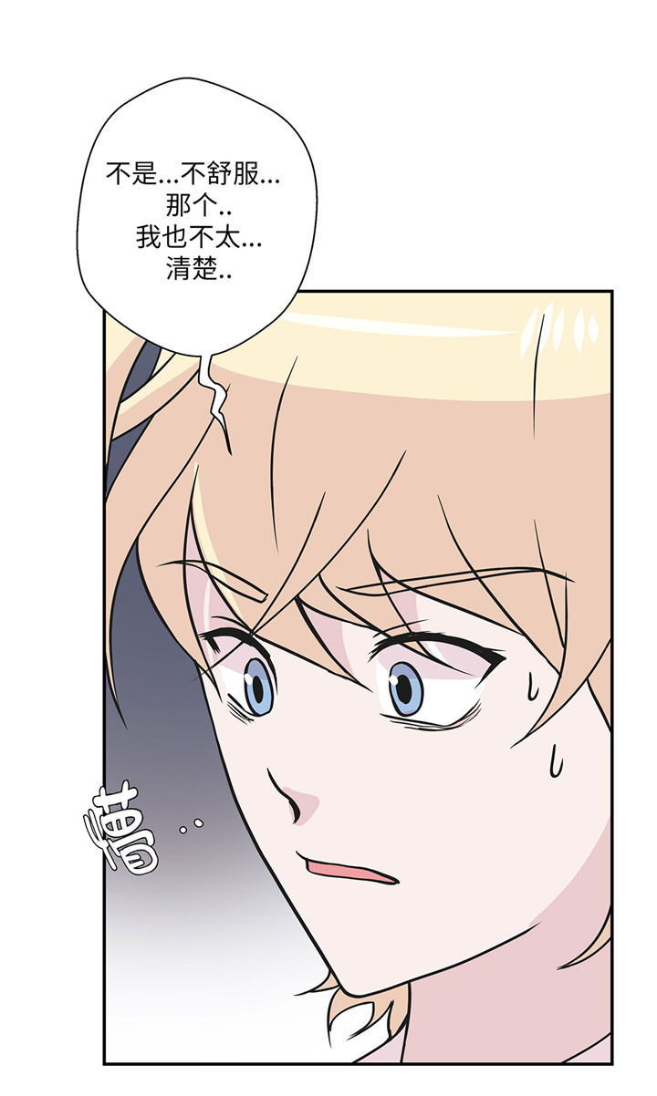 奇妙的动物主题课程漫画,第60章：低级别1图