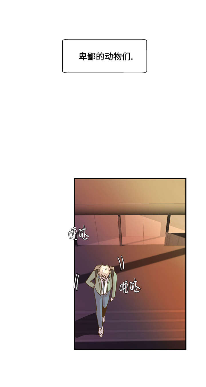 奇妙的动物主题课程漫画,第13章：惹事猪1图