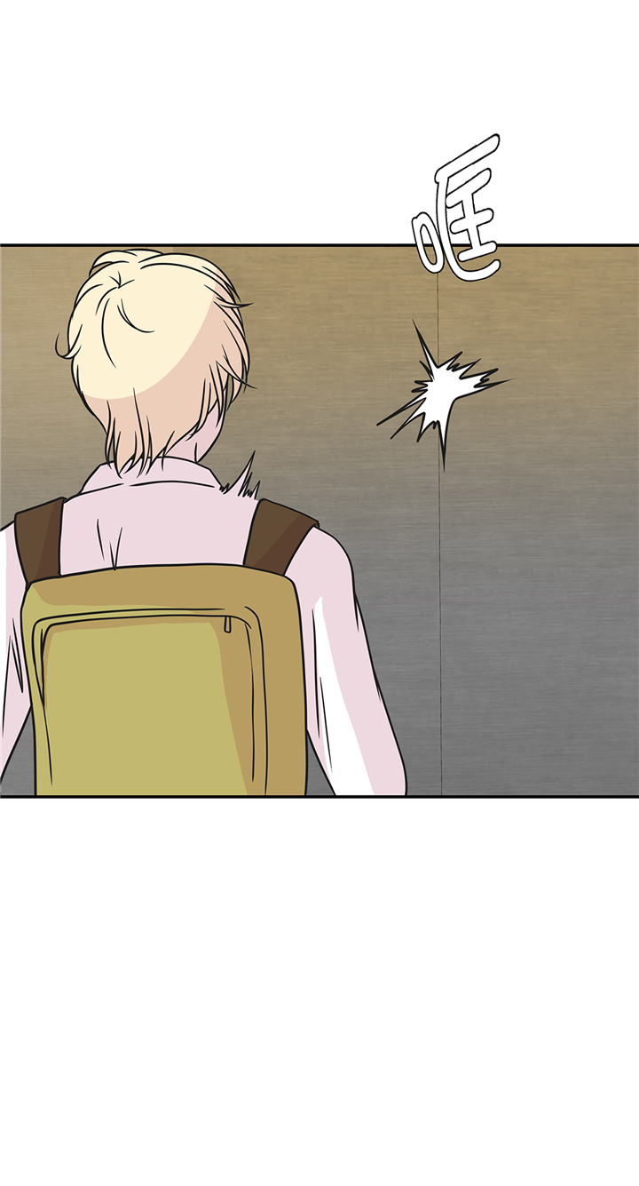 奇妙的动物主题课程漫画,第77章：庆典前夕1图