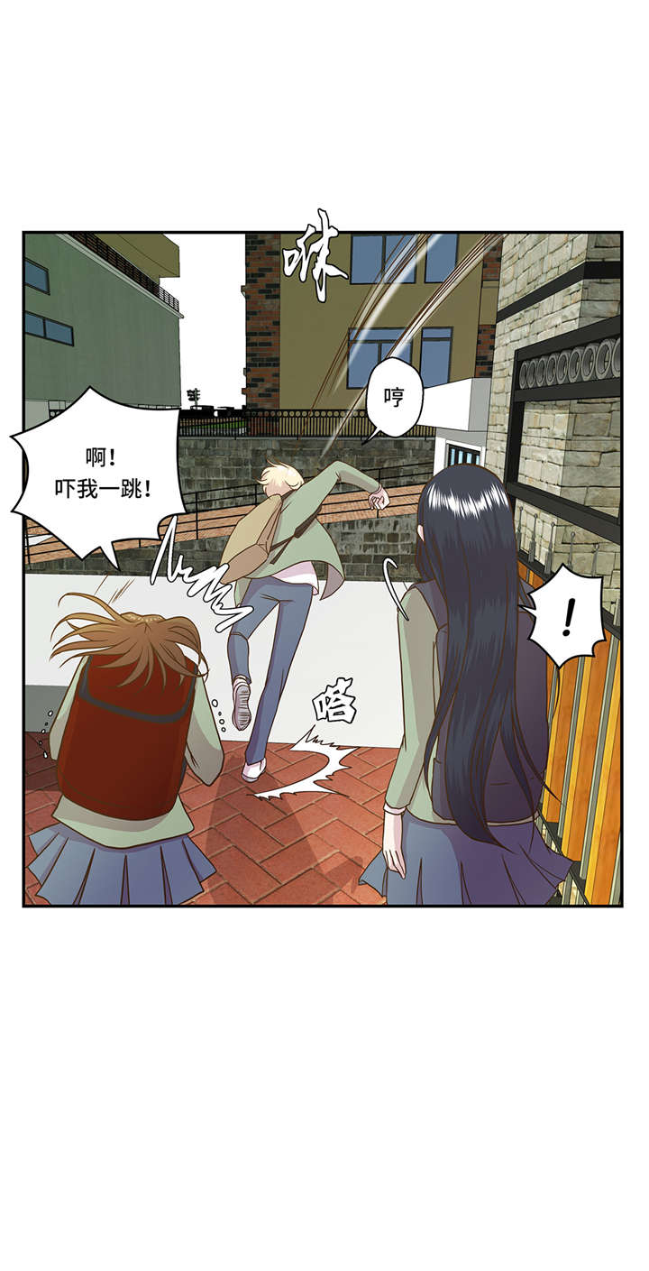 奇妙的动物主题课程漫画,第2章：偶遇（上）2图