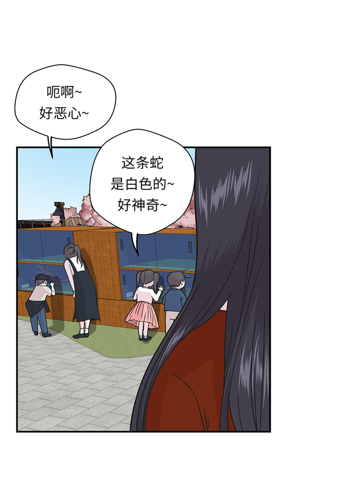 奇妙的动物主题课程漫画,第95章：大结局1图