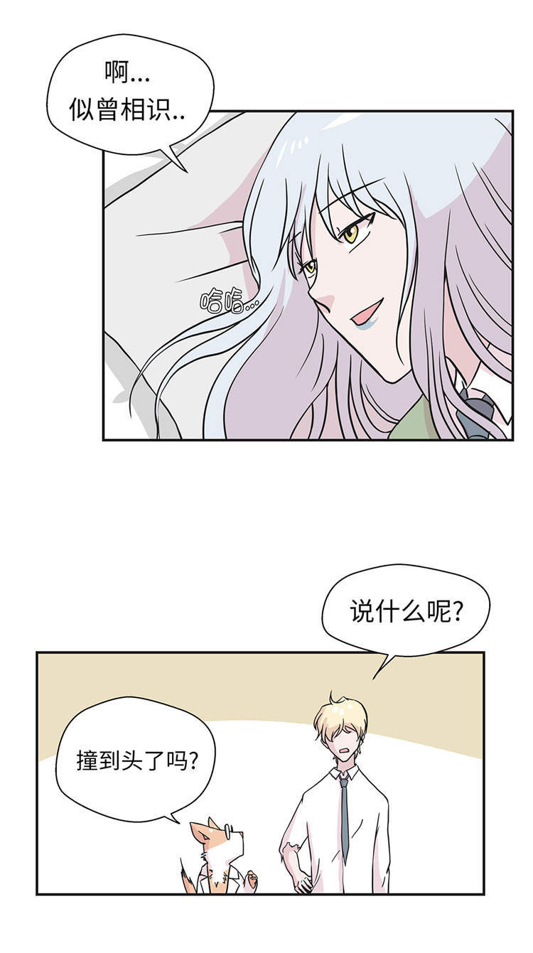奇妙的动物主题课程漫画,第44章：昏迷1图