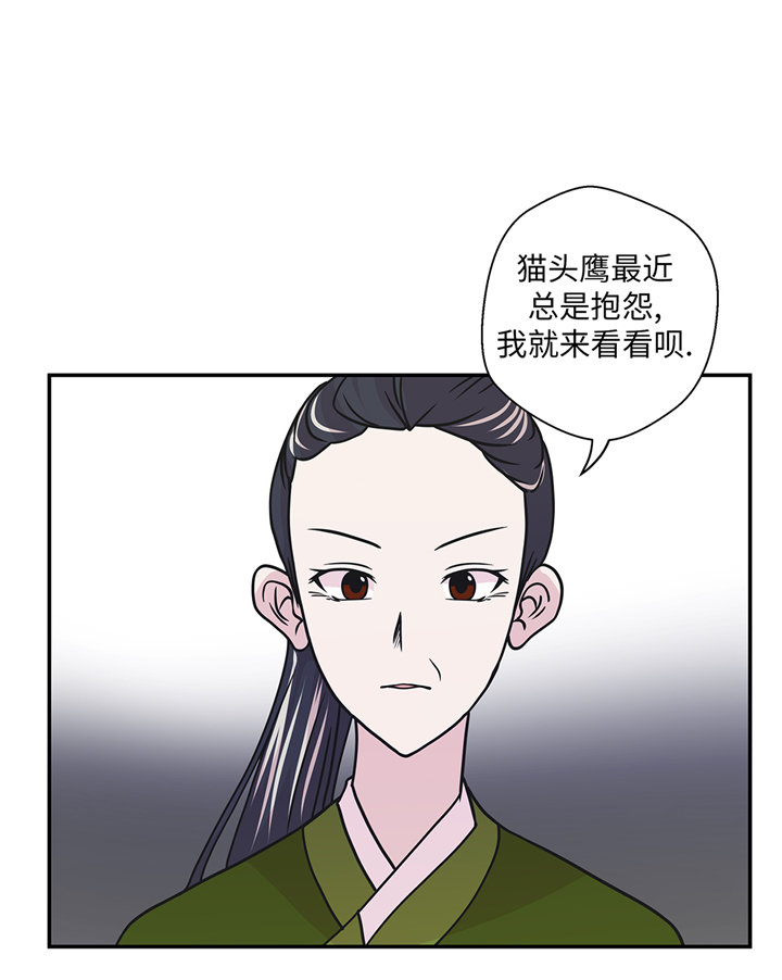 奇妙的动物主题课程漫画,第77章：庆典前夕2图