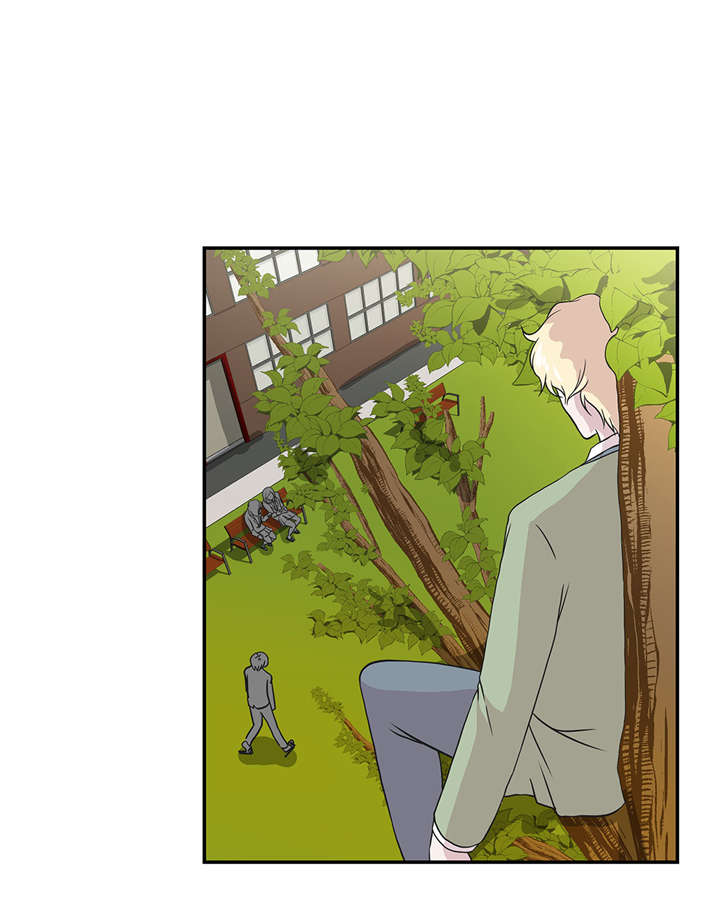 奇妙的动物主题课程漫画,第20章：漂亮的名字2图