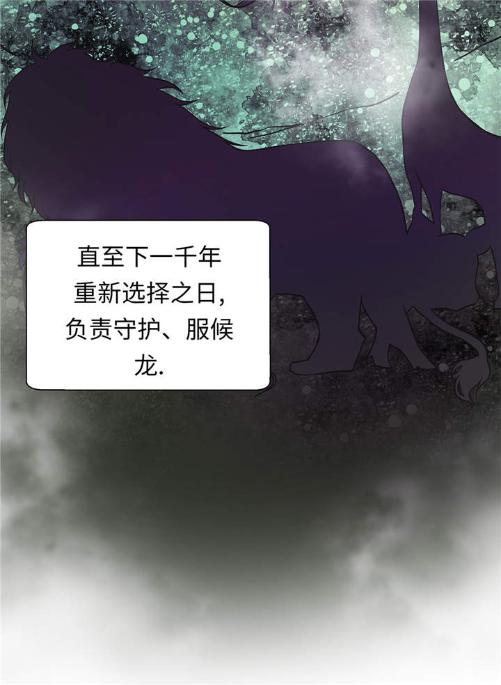 奇妙的动物主题课程漫画,第49章：传说中的龙1图