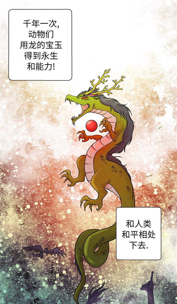 奇妙的动物主题课程漫画,第49章：传说中的龙2图