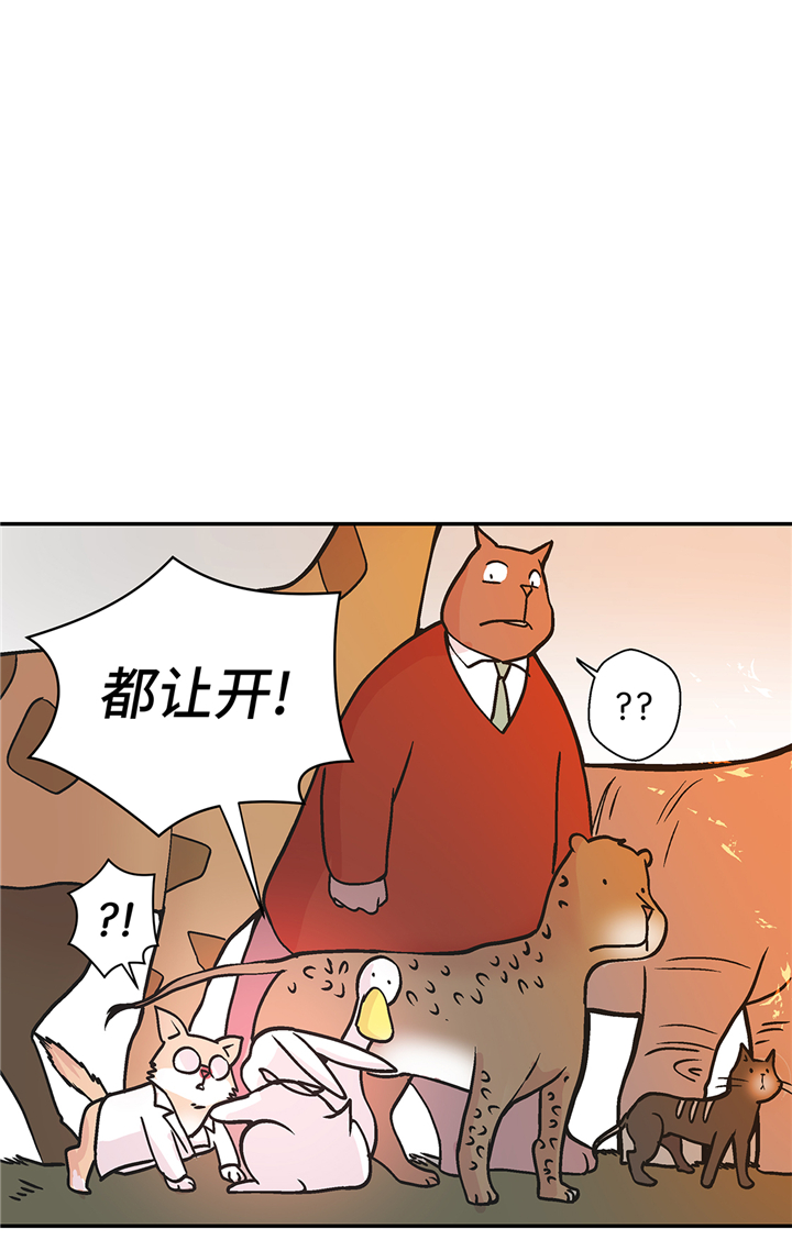 奇妙的动物主题课程漫画,第90章：你这只笨狗！1图
