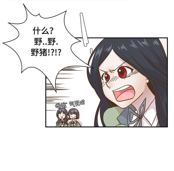 奇妙的动物主题课程漫画,第8章：展示能力吧(上)2图