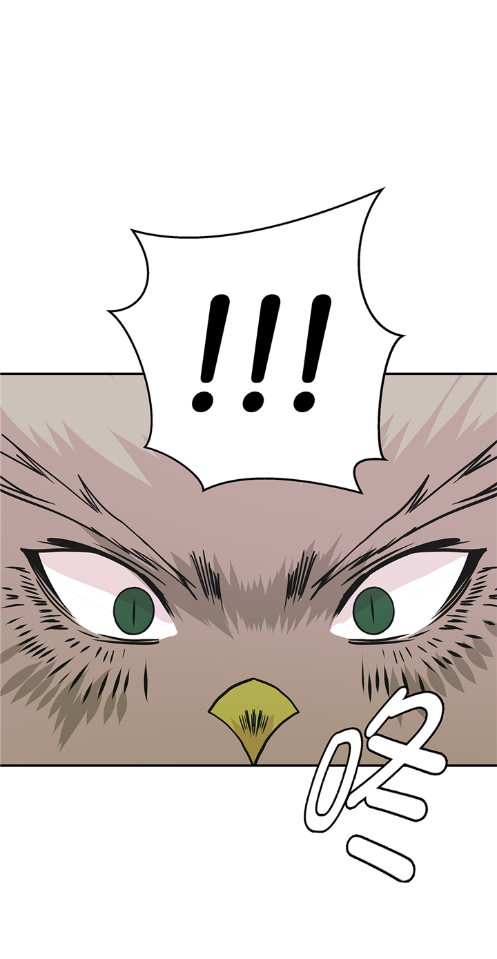 奇妙的动物主题课程漫画,第81章：会场袭击2图