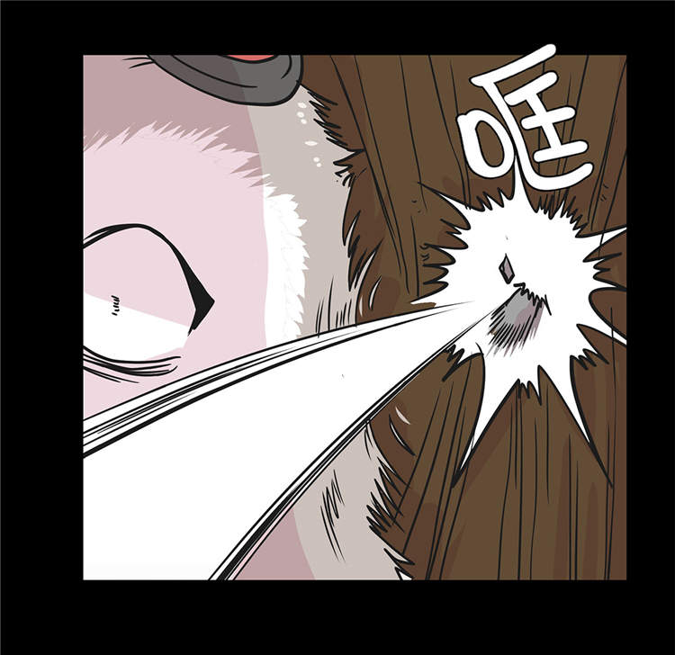 奇妙的动物主题课程漫画,第39章：未来职业1图