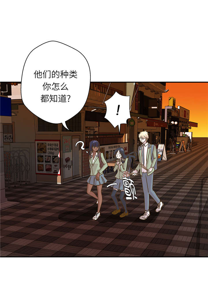 奇妙的动物主题课程漫画,第16章：狮子莱昂1图