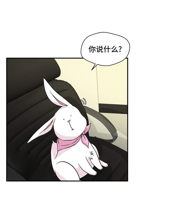 奇妙的动物主题课程漫画,第40章：说出你的秘密1图