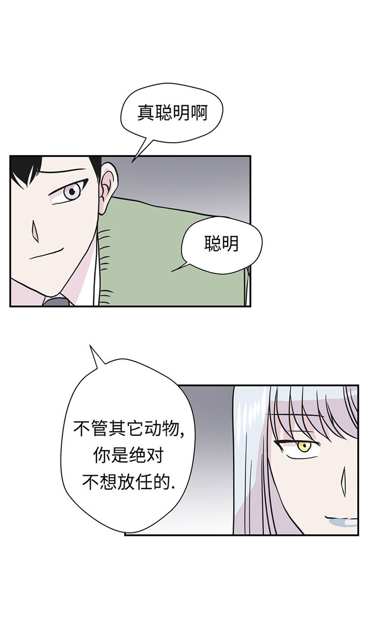 奇妙的动物主题课程漫画,第57章：不放过任何一个机会2图