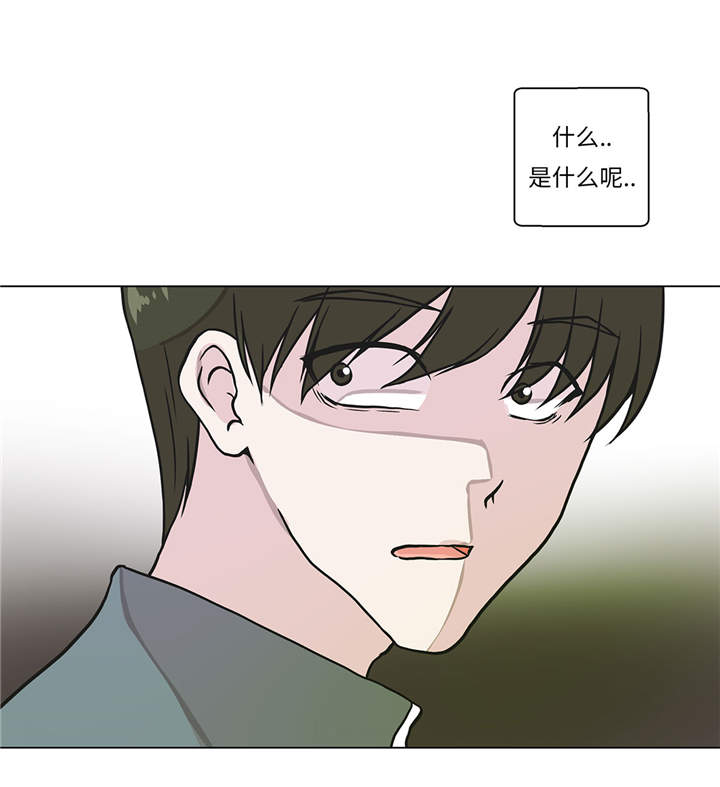 奇妙的动物手抄报模板漫画,第28章：他没有发现2图