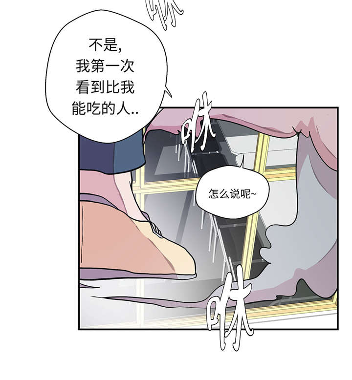 奇妙的动物主题课程漫画,第26章：爱你2图