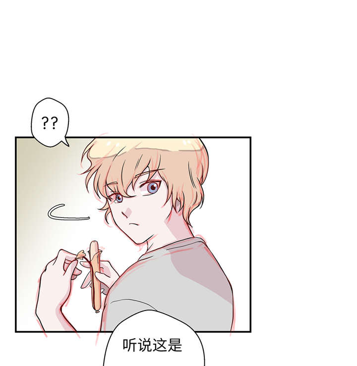 奇妙的动物主题课程漫画,第20章：漂亮的名字1图